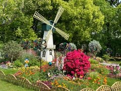 -上海共青森林公园