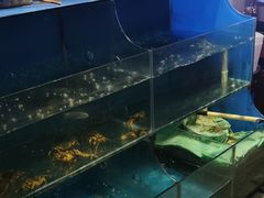 -舞虾小说.涮肉.烧烤(国顺东路店)