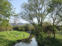 -西溪国家湿地公园