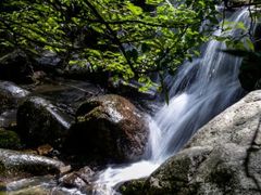 -洛阳白云山景区
