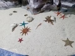 -福州罗源湾海洋世界旅游区