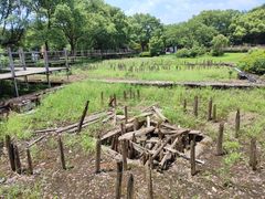 -河姆渡遗址博物馆