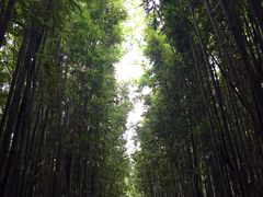 -福建鲤鱼洲酒店