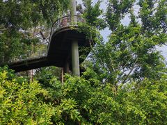 -新加坡飞禽公园
