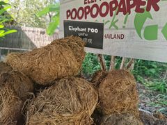 -大象粑粑造纸公园