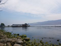 -才村湿地公园