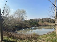 -柳鹭田园区