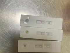 -汪喵宠物医院·骨科心脏影像·犬猫急重症ICU诊疗中心(成华分院)