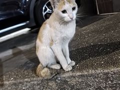 -耙吉吉川味小酒馆(本地人回头店)