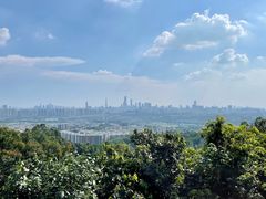 -火炉山森林公园