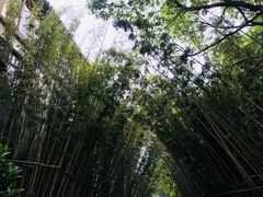 -缥缈峰景区