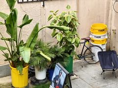 -Money Shops(愚园路店)