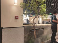 -大榕树下顺德菜(融创茂店)
