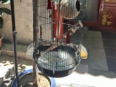 -程府宴-国宴(南长街·四合院店)