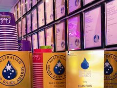 -Dooley's Premium Ice Cream