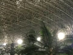 -龙脉温泉室内游泳馆