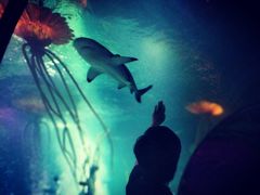 -沈阳海洋探索中心