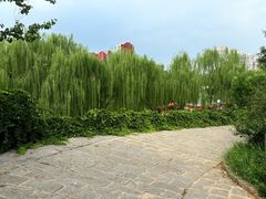-南翠屏公园