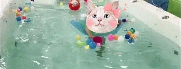 -爱儿乐婴儿游泳馆(华强北店)