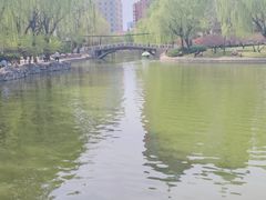 -团结湖公园