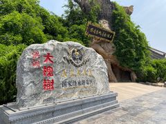 -大槐树寻根祭祖园