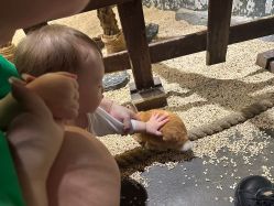 -Zoolung Zoolung动物主题公园(海信广场店)