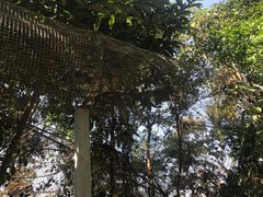 -南丹山森林王国
