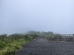 -大围山国家森林公园