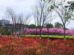 -白塘生态植物园