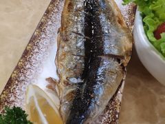 -桃屋日本料理(清华科技园店)