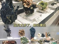 -湖南省地质博物馆