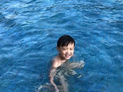 -新加坡瑞士史丹福酒店