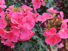 -无锡市市民中心