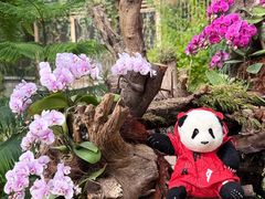 -石家庄市植物园