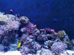 -成都浩海立方海洋公园