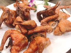 红烧脆皮鸽-鸽鸟轩(石岐店)