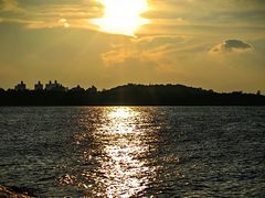 -上海吴淞炮台湾国家湿地公园