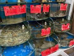 -北戴河庆山饭店·海鲜砂锅粥(北戴河黑石路店)