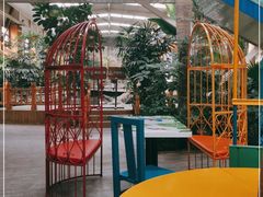 -南宫五洲植物乐园