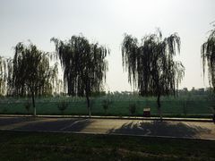 -洨河生态公园