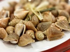 东风螺-大茄来海鲜餐厅(亚洲城分行)