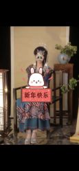-醉唐风古装写真摄影(宁波店)