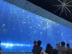 -华夏文旅海洋公园