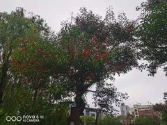 -北湖公园