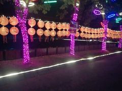-大塘金香草谷
