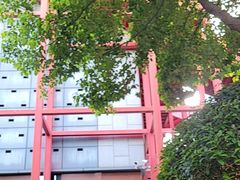 -风波庄(罍街分舵)