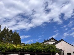 -乌镇景区