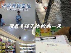 -阿荣24H宠物医院·综合型转诊中心·CT·核磁影像中心