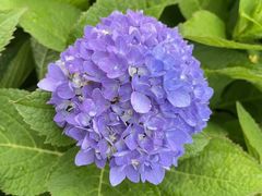 -贵阳蓬莱仙界