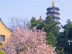 -湛山寺
